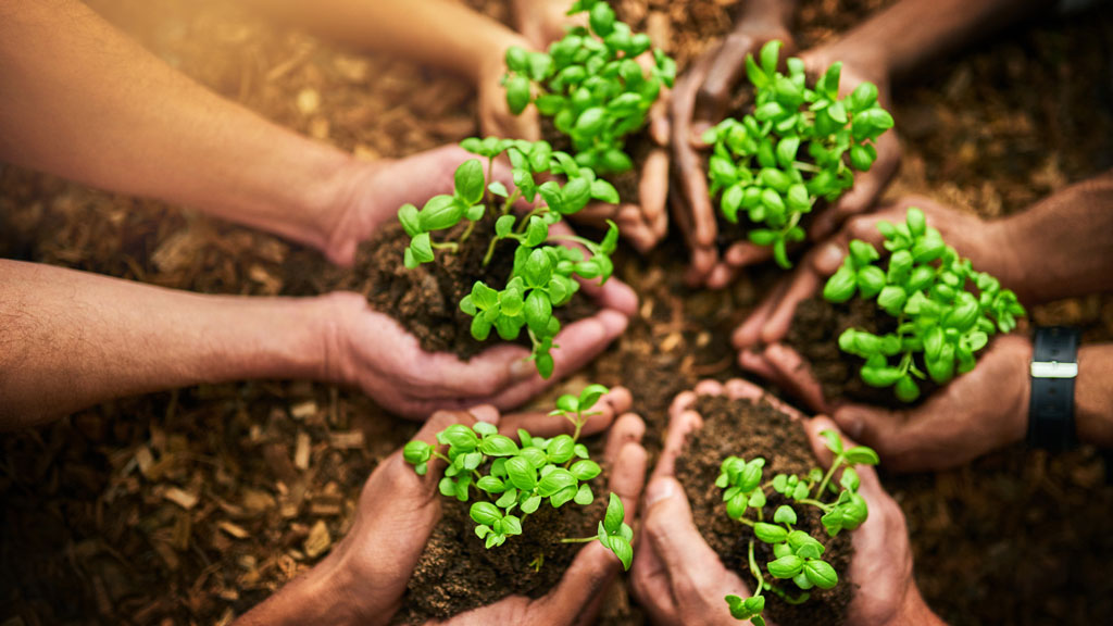 Six pairs of hands grasping a handful of dirt with seedlings