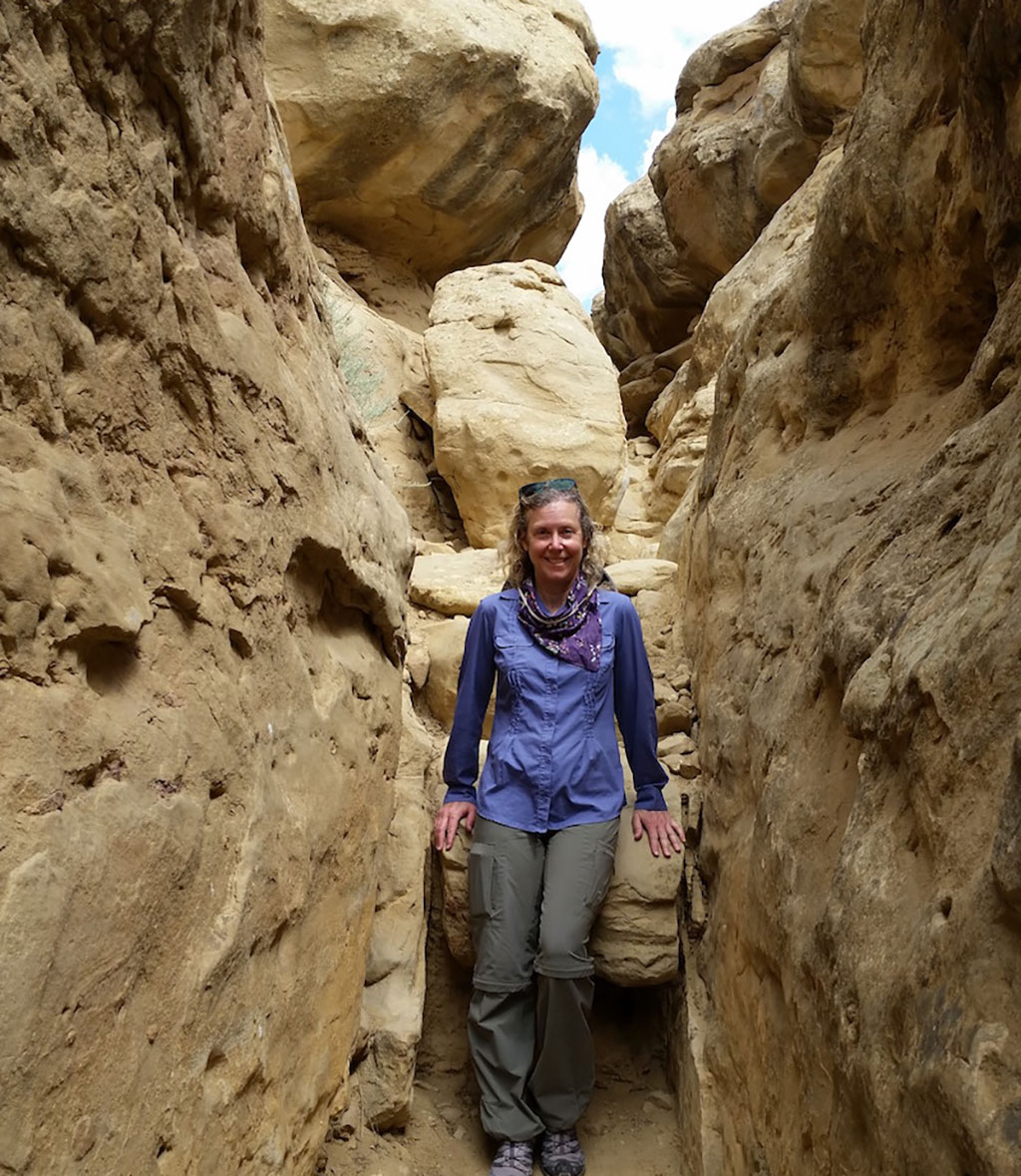 Sheryl Luzzadder-Beach standing within a research site between two stone walls