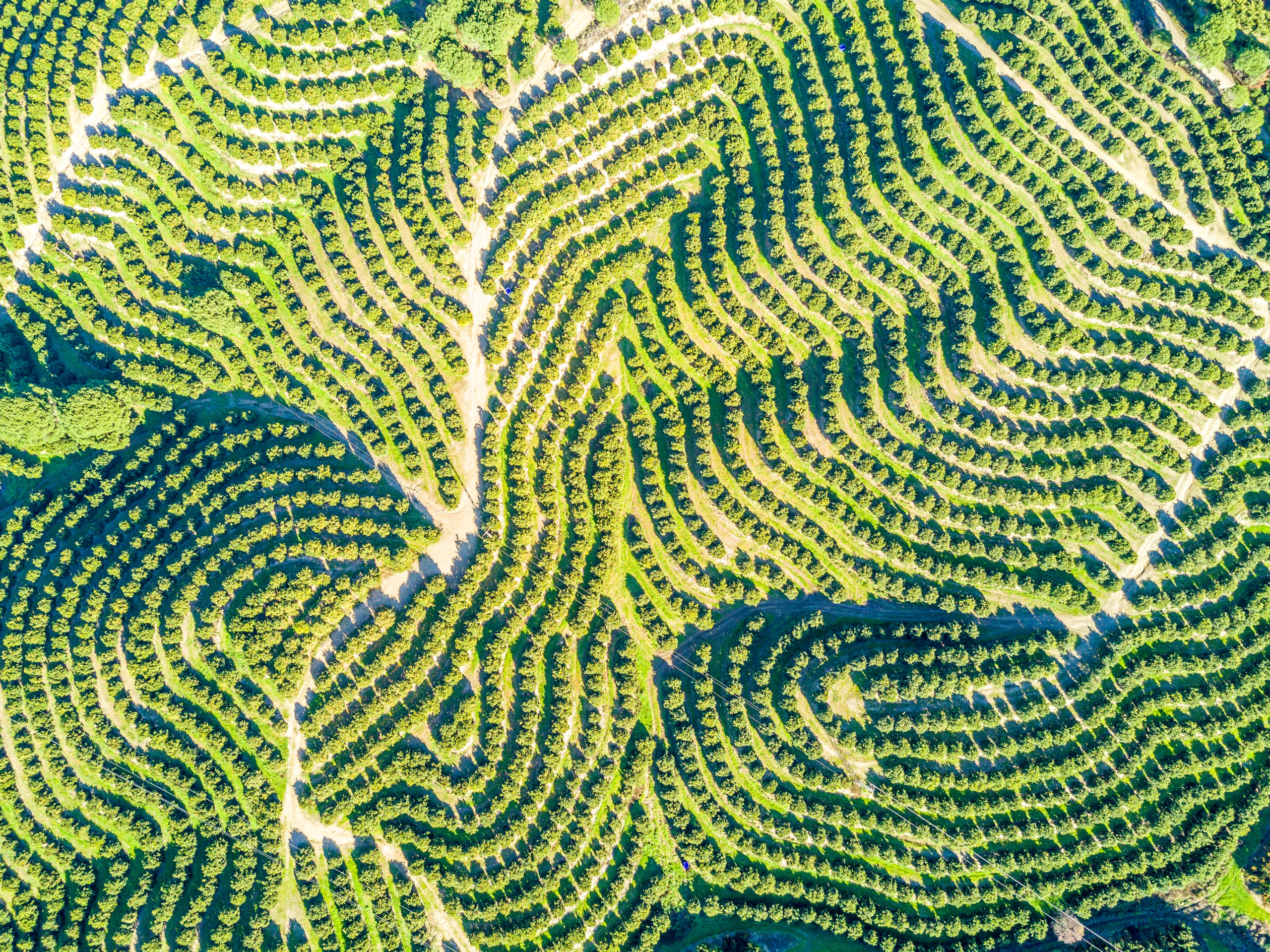green field design, aerial, landscape, abstract