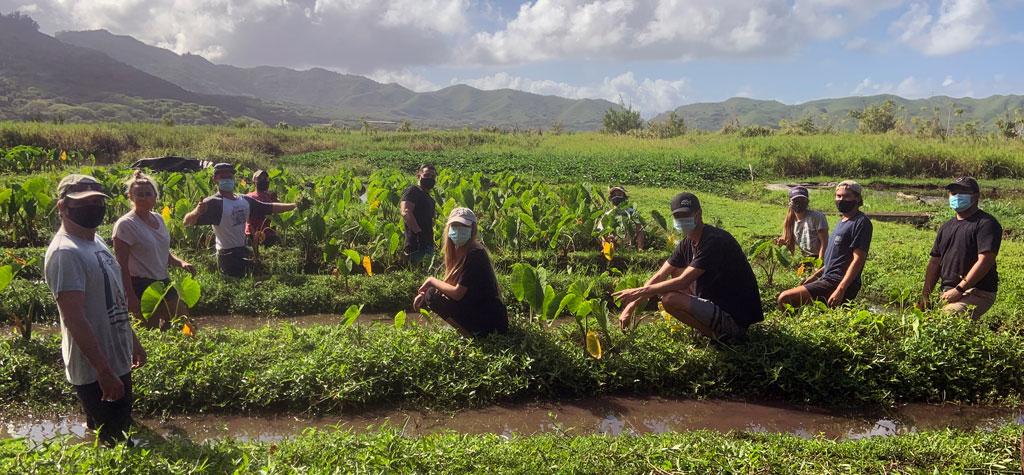 University of Hawai‘i Manoa GEO department students and faculty participate in community work day in a lo'i. (Courtesy David Beilman)